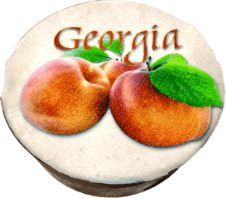 Georgia Peach Chocolate-Dipped Oreo with Edible Image
