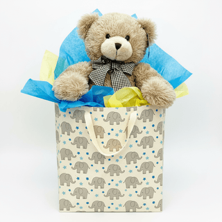 Tons of Love Teddy Bear Gift Bag